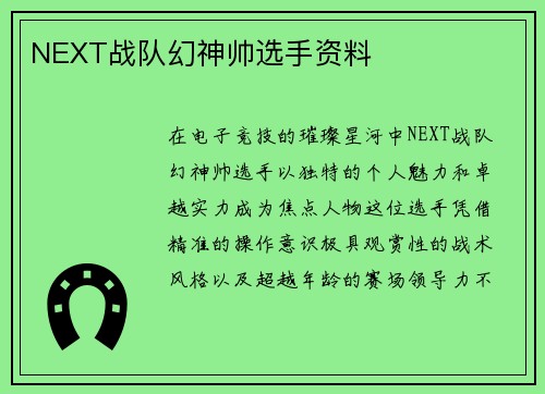 NEXT战队幻神帅选手资料